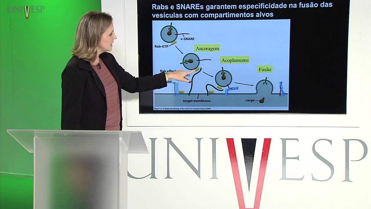 Células e Tecidos - aula 11 - Complexo de Golgi