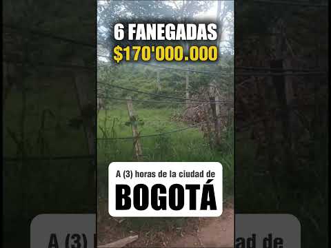🍃VENDO - PREDIO ECONÓMICO🍃INFO: (+57) 310 355 8414🍃