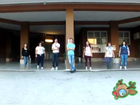 Presentazione Lista 4: Liceo Scientifico L. Einaudi