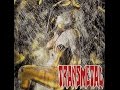 Invasores - Transmetal (con letra)