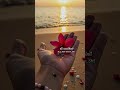 Uyire Un Uyirena Musicuniverse8152 Zero Aniruthravichander Shortsongwithlyrics Lovesongs