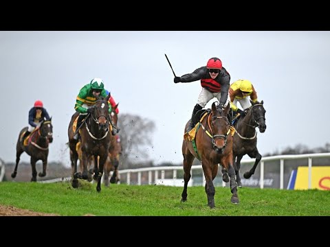Affordale Fury outlines Gold Cup claims in Savills Chase with Galopin Des Champs third | Racing TV