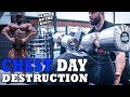 CHEST and DELTS destroyed |7 weeks out QUINTBEASTWOOD