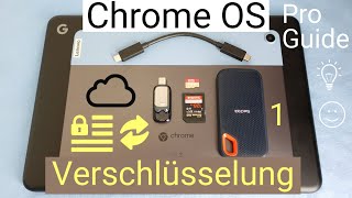 Deine Dateien verschlüsseln 1 | Cryptomator, FreeFileSync | Chrome OS 