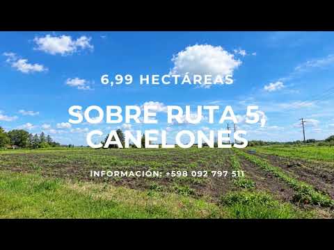 Predio en Venta de 6,99 hectáreas sobre Ruta 5 – Juanicó, Canelones