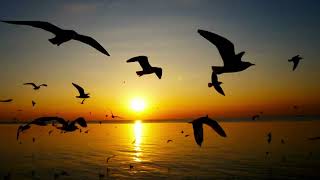 Mylène Farmer   Prière Dj Dray Remix