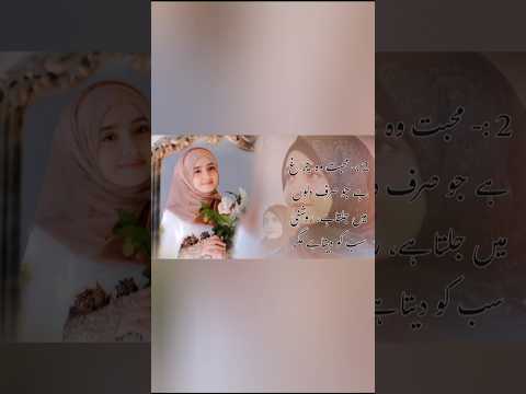 Syeda Areeba Fatima New Short 2025 #syedaareebafatimastudio #quotes #viral