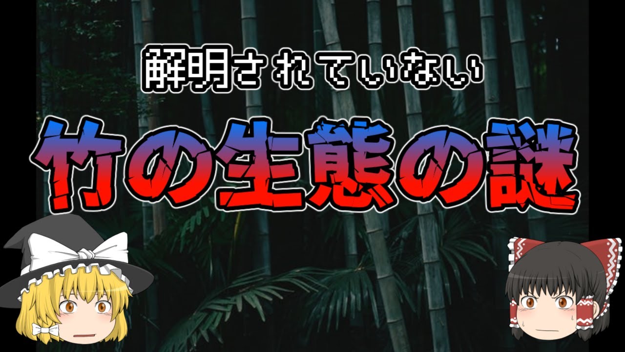【ゆっくり解説】謎に包まれた『竹』の生態