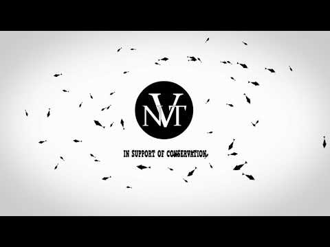 NVT's Women of the Waves