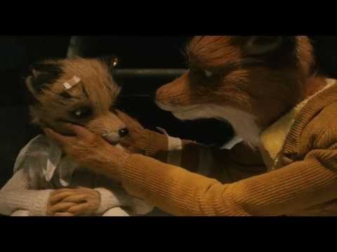 Wes Anderson's Most Beautiful Moments