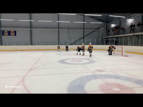 Pelicans - HyRi 07 AA