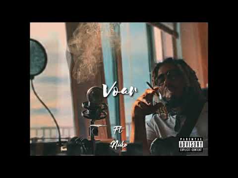 Avidix - Voar Feat Niiko (Audio)