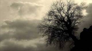 Anlipnes - Coffin (Funeral doom)