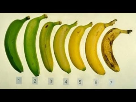 , title : '✅ Ποια από τις μπανάνες που βλέπετε είναι η πιο υγιεινή επιλογή και γιατί;'