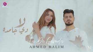 كلمات اغنية لا دي جامدة احمد حليم