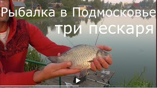 Карп платная рыбалка в подмосковье без нормы вылова