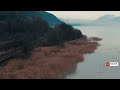 Guy Sweens   -  Arows Of Desire