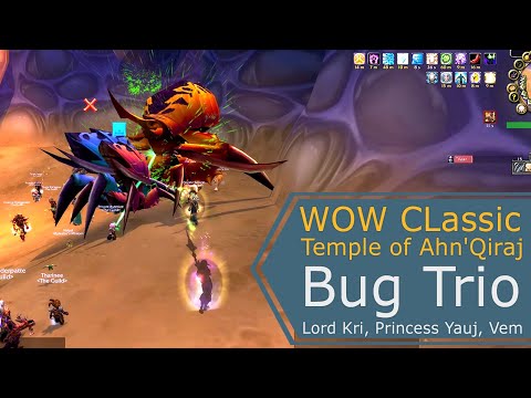 WoW Classic AQ40  - Bug Trio, Shadow Priest Perspective