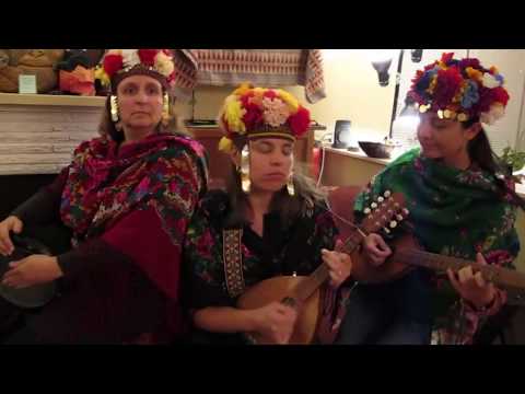 A Tribute to Jack Black from Dunava — EXTENDED CUT!