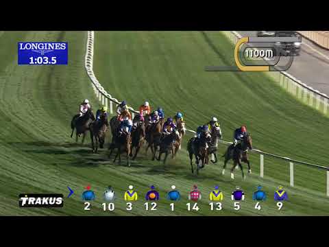 Race 7 Al Naboodah Trade School Trophy