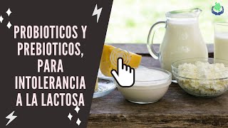 #shorts Probioticos Y Prebioticos, Para Intolerancia A La Lactosa, Microbiota Intestinal