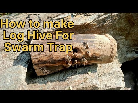 The Art of Log Hive Making|How to make log hive For swarm Trap