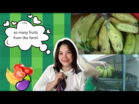 Vlog• Fruits from the Farm👨🏻‍🌾🍌