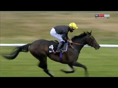 English King - 2020 Lingfield Derby Trial