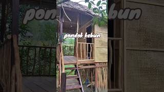 Download lagu Bangun pondok kebun 3x3m cantik di belakang rumah mamah nada 🥰 #BalikpapanSudah #NgeShortsBareng mp3