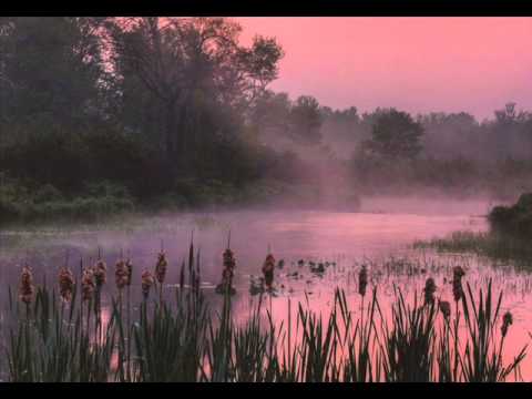 Having Part of You - VAST