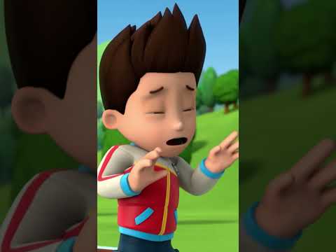 Do you think Chase can drive Rubble's Truck? #PAWPatrol #Shorts