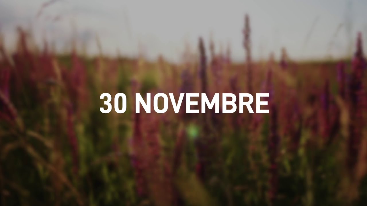 30 Novembre 2025 | Meditazione Parole di Vita
