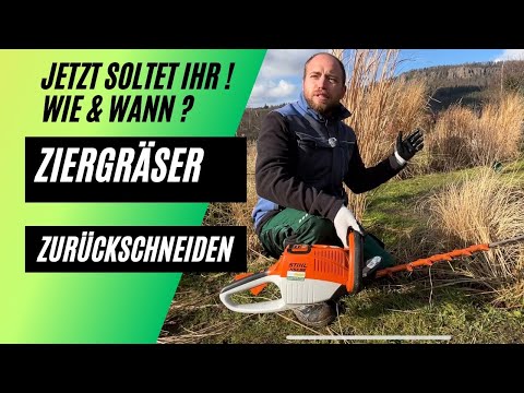 Wann und Wie Gräser Schneiden ? Jetzt Ziergräser zurückschneiden !
