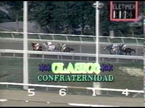 Copa Confraternidad 1993 - Patricio (PAN)