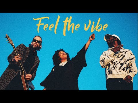 IRIE MAFFIA - Feel The Vibe (Official Music Video)