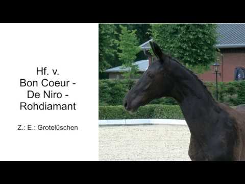 Hf v Bon Coeur x De Niro x Rohdiamant 2020