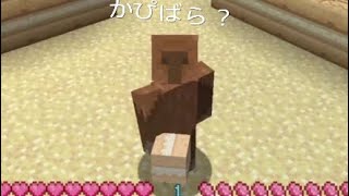 ［マインクラフト］えむのえむクラ#1の後半　村を囲おう［実況］