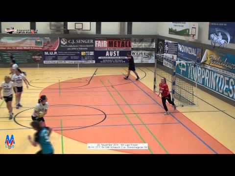 28:14 (17:7) SV GW Schwerin II vs. Stavenhagener SV - 22.11.2014