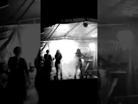 Vem Gatinho Lindo video