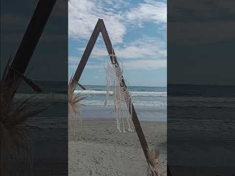 Mamaia's Hidden Paradise: Summer 2025 Revealed