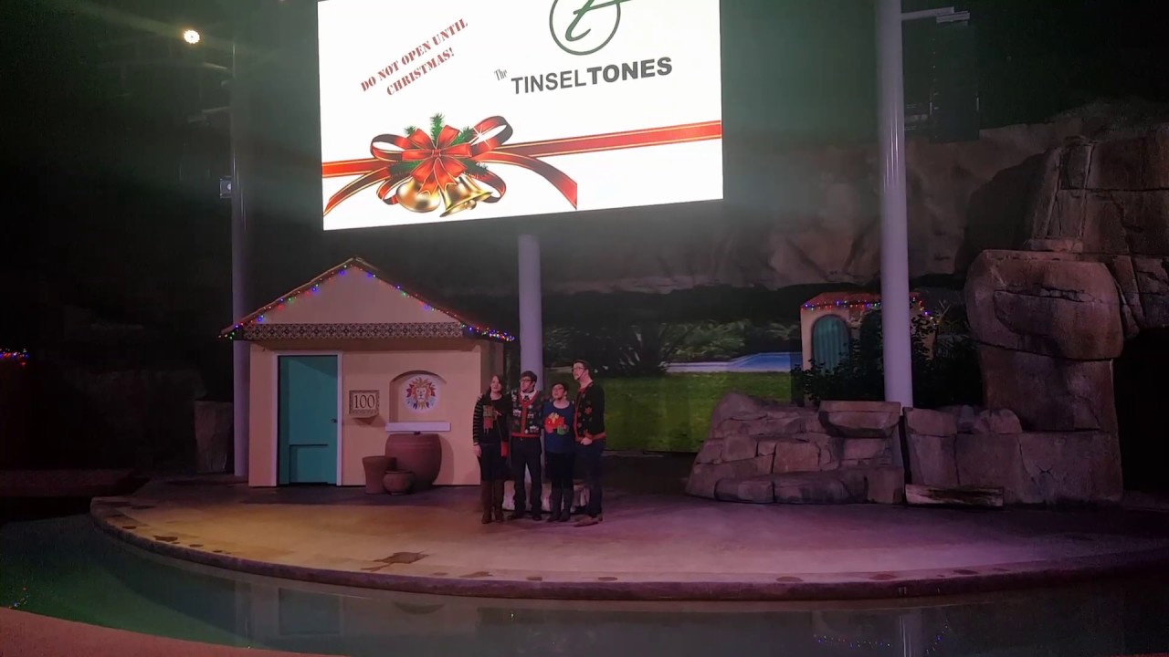 Promotional video thumbnail 4 for Tinseltone Carolers San Diego