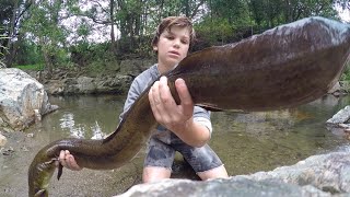 Catching The BIGGEST Freshwater EEL! (AMAZING)