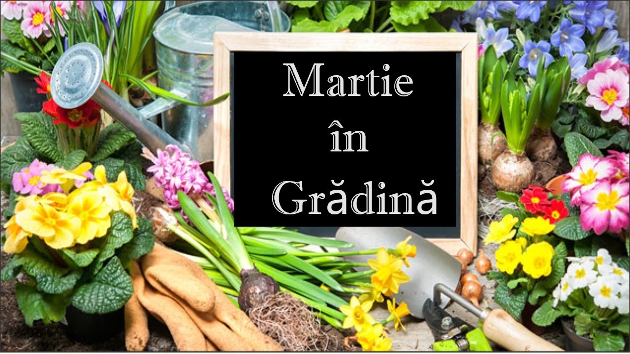 Ce semănăm în luna MARTIE. Lucrările principale în grădină și livadă în luna MARTIE