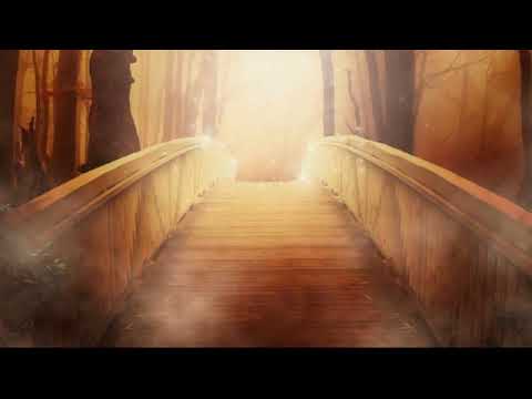 Thauvin christine Miniature vidéo YouTube 8