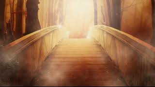 Miniature de la vidéo