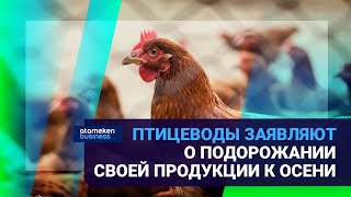 Птицефабрики в кризисе: бизнес заявляет - кормить кур нечем!