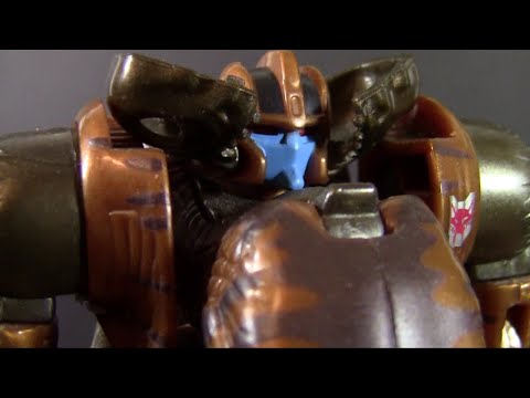 Beast Wars 10th Dinobot (Random Review)