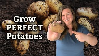 How to Plant and Grow Potatoes: A Step-by-Step Guide for Beginners!