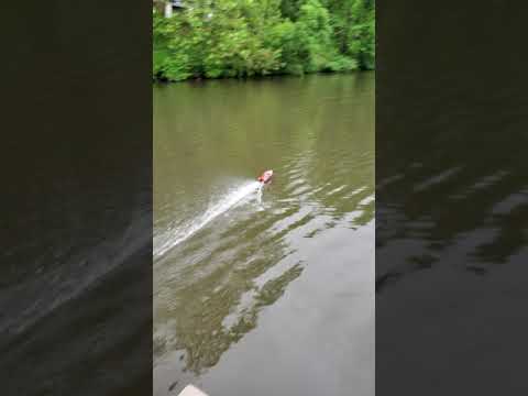 proboat Lucas oil boat