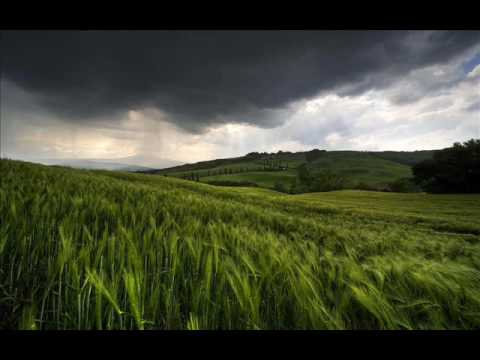 Dave Emanuel - Morning Rain